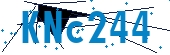 recaptcha