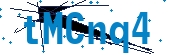 recaptcha